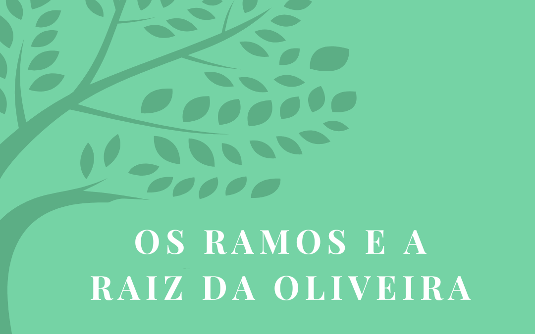 Os Ramos e a Raiz da Oliveira